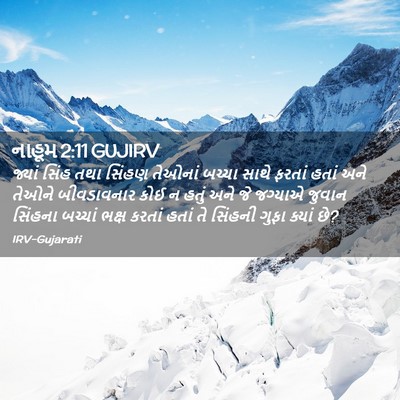 Picture 02 - નાહૂમ 2:11 GUJIRV - જ્યાં સિંહ તથા - Bible Verse Picture