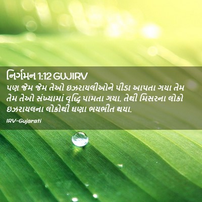 Picture 02 - નિર્ગમન 1:12 GUJIRV - પણ જેમ જેમ તેઓ - Bible Verse Picture