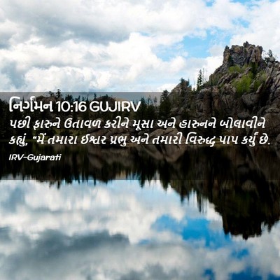 Picture 02 - નિર્ગમન 10:16 GUJIRV - પછી ફારુને ઉતાવળ - Bible Verse Picture