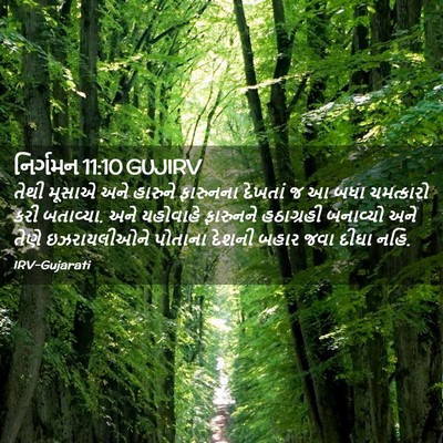 Picture 02 - નિર્ગમન 11:10 GUJIRV - તેથી મૂસાએ અને - Bible Verse Picture