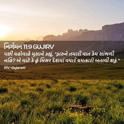 Picture 02 - નિર્ગમન 11:9 GUJIRV - પછી યહોવાહે - Bible Verse Picture