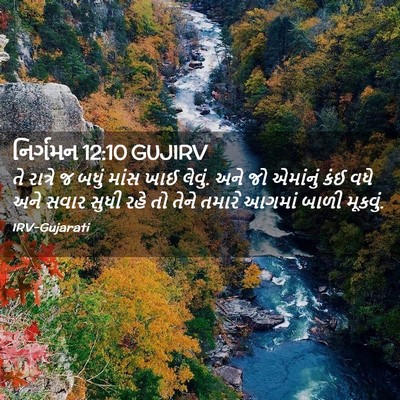 Picture 02 - નિર્ગમન 12:10 GUJIRV - તે રાત્રે જ બધું - Bible Verse Picture