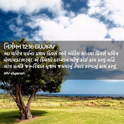 Picture 02 - નિર્ગમન 12:16 GUJIRV - આ પવિત્ર પર્વના - Bible Verse Picture