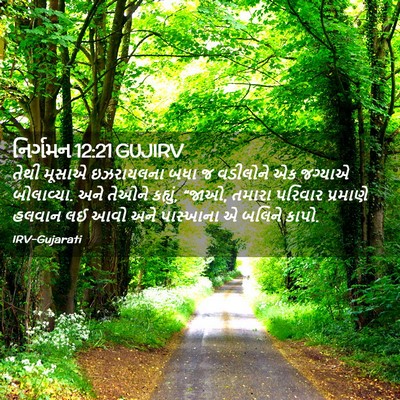 Picture 02 - નિર્ગમન 12:21 GUJIRV - તેથી મૂસાએ - Bible Verse Picture