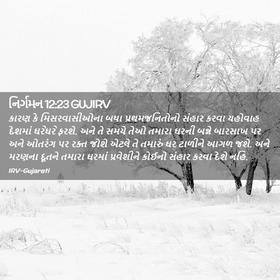 Picture 02 - નિર્ગમન 12:23 GUJIRV - કારણ કે - Bible Verse Picture