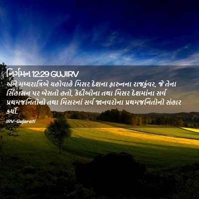 Picture 02 - નિર્ગમન 12:29 GUJIRV - અને મધ્યરાત્રિએ - Bible Verse Picture