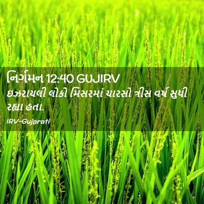 Picture 02 - નિર્ગમન 12:40 GUJIRV - ઇઝરાયલી લોકો - Bible Verse Picture