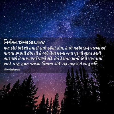 Picture 02 - નિર્ગમન 12:48 GUJIRV - પણ કોઈ વિદેશી - Bible Verse Picture