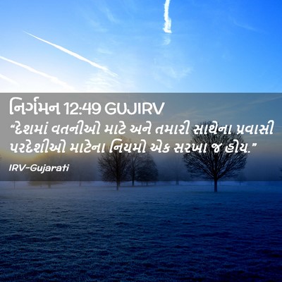Picture 02 - નિર્ગમન 12:49 GUJIRV - “દેશમાં વતનીઓ - Bible Verse Picture
