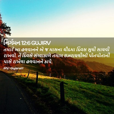 Picture 02 - નિર્ગમન 12:6 GUJIRV - તમારે આ હલવાનને એ જ - Bible Verse Picture