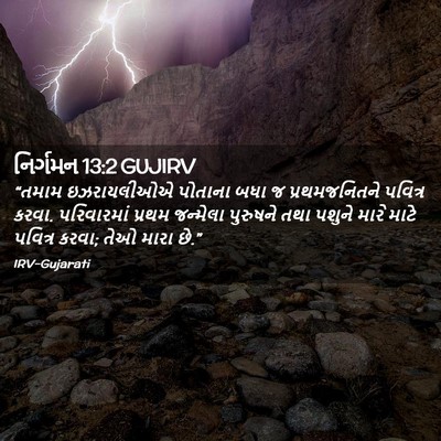 Picture 02 - નિર્ગમન 13:2 GUJIRV - “તમામ ઇઝરાયલીઓએ - Bible Verse Picture