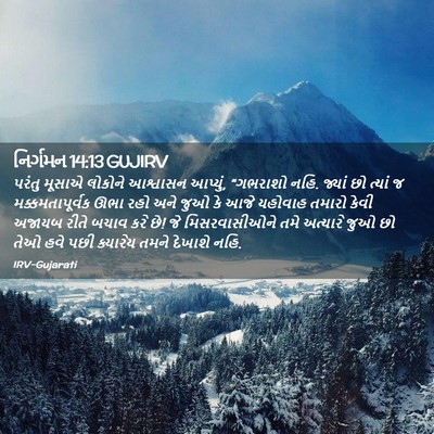 Picture 02 - નિર્ગમન 14:13 GUJIRV - પરંતુ મૂસાએ - Bible Verse Picture