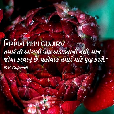 Picture 02 - નિર્ગમન 14:14 GUJIRV - તમારે તો આંગળી પણ - Bible Verse Picture