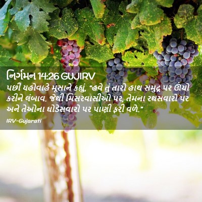 Picture 02 - નિર્ગમન 14:26 GUJIRV - પછી યહોવાહે - Bible Verse Picture