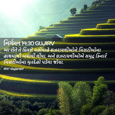 Picture 02 - નિર્ગમન 14:30 GUJIRV - આ રીતે તે દિવસે - Bible Verse Picture