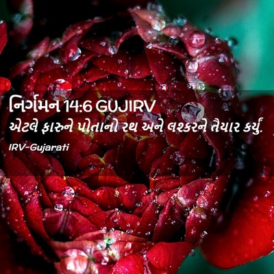 Picture 02 - નિર્ગમન 14:6 GUJIRV - એટલે ફારુને - Bible Verse Picture