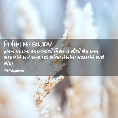 Picture 02 - નિર્ગમન 14:7 GUJIRV - ફારુને પોતાના - Bible Verse Picture