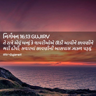 Picture 02 - નિર્ગમન 16:13 GUJIRV - તે રાત્રે એવું - Bible Verse Picture