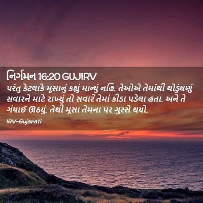 Picture 02 - નિર્ગમન 16:20 GUJIRV - પરંતુ કેટલાકે - Bible Verse Picture