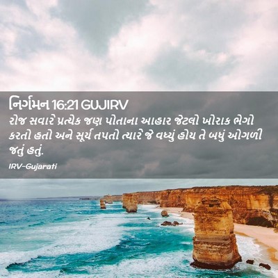Picture 02 - નિર્ગમન 16:21 GUJIRV - રોજ સવારે - Bible Verse Picture