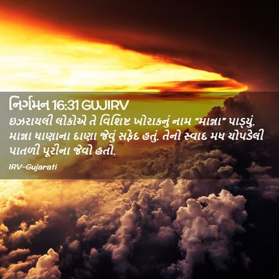 Picture 02 - નિર્ગમન 16:31 GUJIRV - ઇઝરાયલી લોકોએ તે - Bible Verse Picture