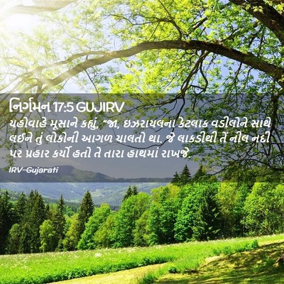 Picture 02 - નિર્ગમન 17:5 GUJIRV - યહોવાહે મૂસાને - Bible Verse Picture