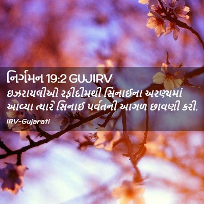 Picture 02 - નિર્ગમન 19:2 GUJIRV - ઇઝરાયલીઓ રફીદીમથી - Bible Verse Picture