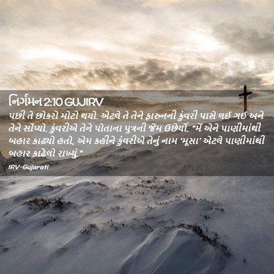 Picture 02 - નિર્ગમન 2:10 GUJIRV - પછી તે છોકરો મોટો - Bible Verse Picture