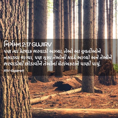 Picture 02 - નિર્ગમન 2:17 GUJIRV - પણ ત્યાં કેટલાક - Bible Verse Picture