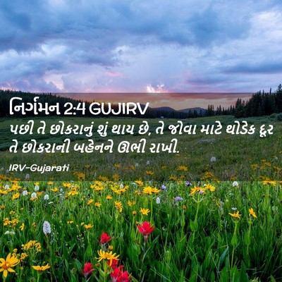 Picture 02 - નિર્ગમન 2:4 GUJIRV - પછી તે છોકરાનું - Bible Verse Picture