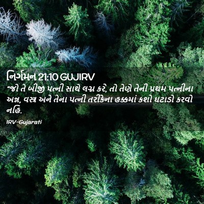 Picture 02 - નિર્ગમન 21:10 GUJIRV - “જો તે બીજી પત્ની - Bible Verse Picture