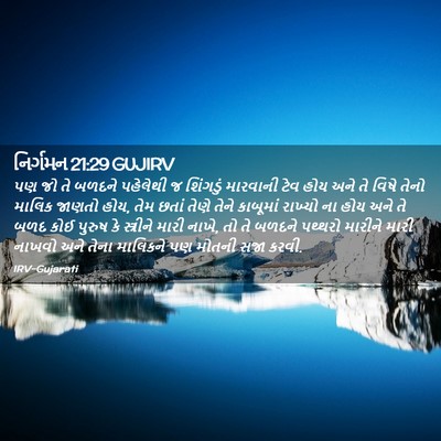 Picture 02 - નિર્ગમન 21:29 GUJIRV - પણ જો તે બળદને - Bible Verse Picture