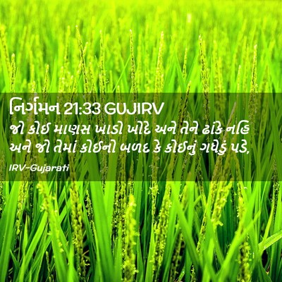 Picture 02 - નિર્ગમન 21:33 GUJIRV - જો કોઈ માણસ ખાડો - Bible Verse Picture