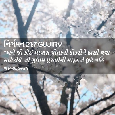 Picture 02 - નિર્ગમન 21:7 GUJIRV - “અને જો કોઈ માણસ - Bible Verse Picture