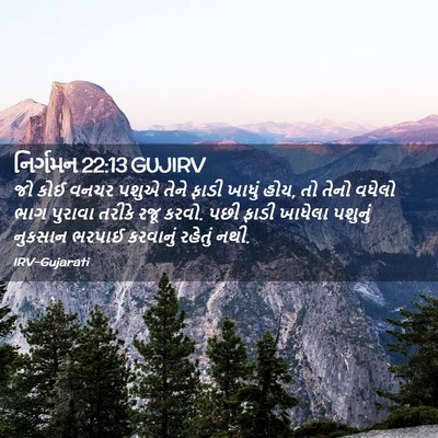 Picture 02 - નિર્ગમન 22:13 GUJIRV - જો કોઈ વનચર પશુએ - Bible Verse Picture