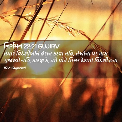Picture 02 - નિર્ગમન 22:21 GUJIRV - તમારે વિદેશીઓને - Bible Verse Picture