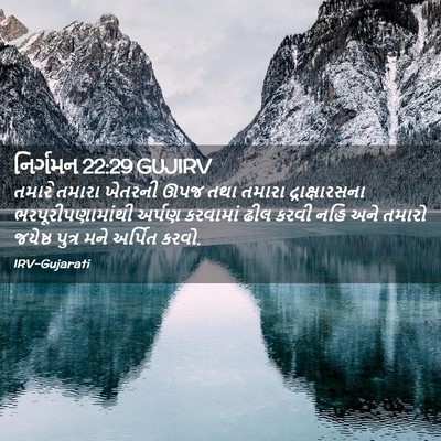 Picture 02 - નિર્ગમન 22:29 GUJIRV - તમારે તમારા - Bible Verse Picture