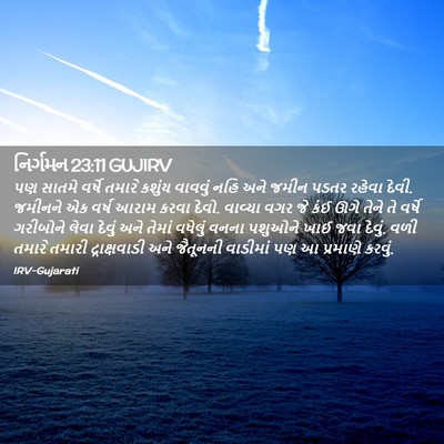 Picture 02 - નિર્ગમન 23:11 GUJIRV - પણ સાતમે વર્ષે - Bible Verse Picture