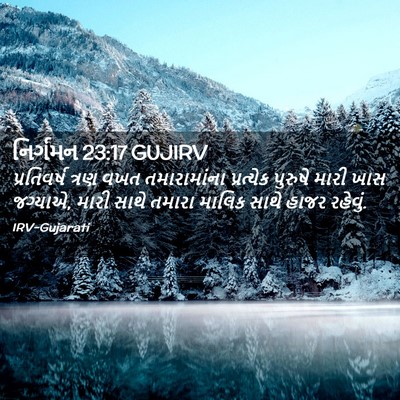 Picture 02 - નિર્ગમન 23:17 GUJIRV - પ્રતિવર્ષ ત્રણ - Bible Verse Picture