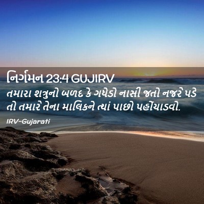 Picture 02 - નિર્ગમન 23:4 GUJIRV - તમારા શત્રુનો બળદ - Bible Verse Picture