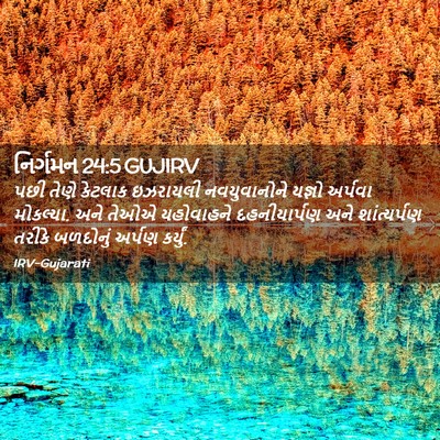 Picture 02 - નિર્ગમન 24:5 GUJIRV - પછી તેણે કેટલાક - Bible Verse Picture