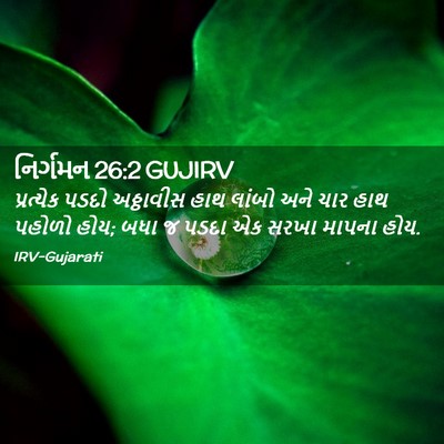Picture 02 - નિર્ગમન 26:2 GUJIRV - પ્રત્યેક પડદો - Bible Verse Picture