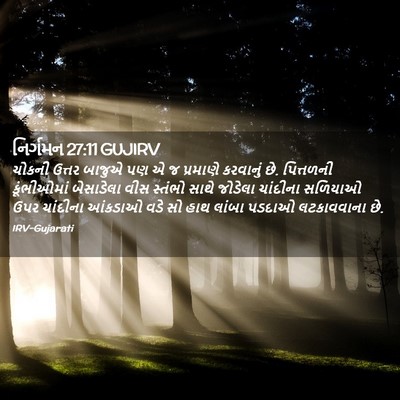 Picture 02 - નિર્ગમન 27:11 GUJIRV - ચોકની ઉત્તર બાજુએ - Bible Verse Picture