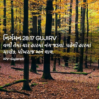 Picture 02 - નિર્ગમન 28:17 GUJIRV - વળી તેમાં ચાર - Bible Verse Picture