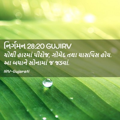 Picture 02 - નિર્ગમન 28:20 GUJIRV - ચોથી હારમાં પીરોજ, - Bible Verse Picture