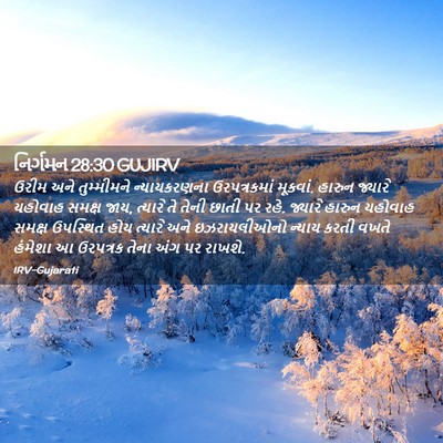 Picture 02 - નિર્ગમન 28:30 GUJIRV - ઉરીમ અને - Bible Verse Picture