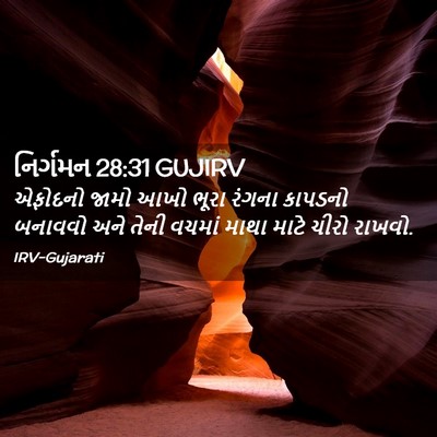 Picture 02 - નિર્ગમન 28:31 GUJIRV - એફોદનો જામો આખો - Bible Verse Picture