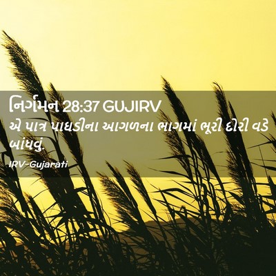 Picture 02 - નિર્ગમન 28:37 GUJIRV - એ પાત્ર પાઘડીના - Bible Verse Picture