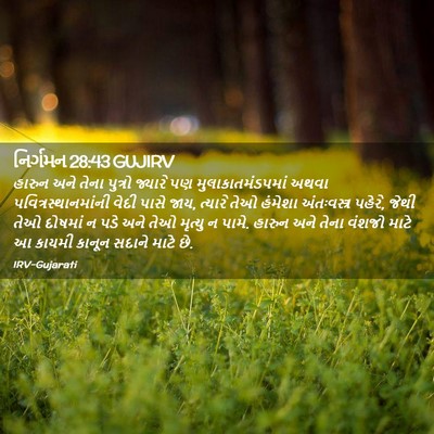 Picture 02 - નિર્ગમન 28:43 GUJIRV - હારુન અને તેના - Bible Verse Picture