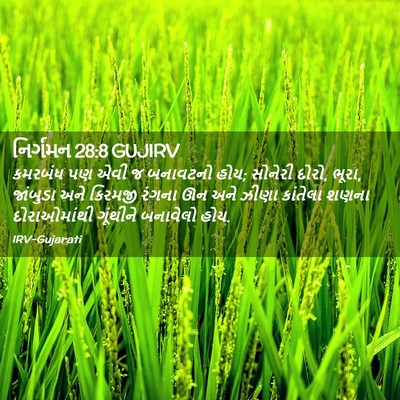 Picture 02 - નિર્ગમન 28:8 GUJIRV - કમરબંધ પણ એવી જ - Bible Verse Picture